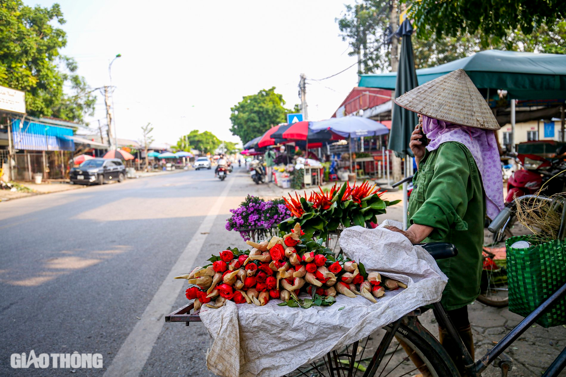 Thủ phủ hoa hồng ở Hà Nội mất mùa dịp 20/10, người dân mót từng bông bán với giá bèo bọt- Ảnh 10.