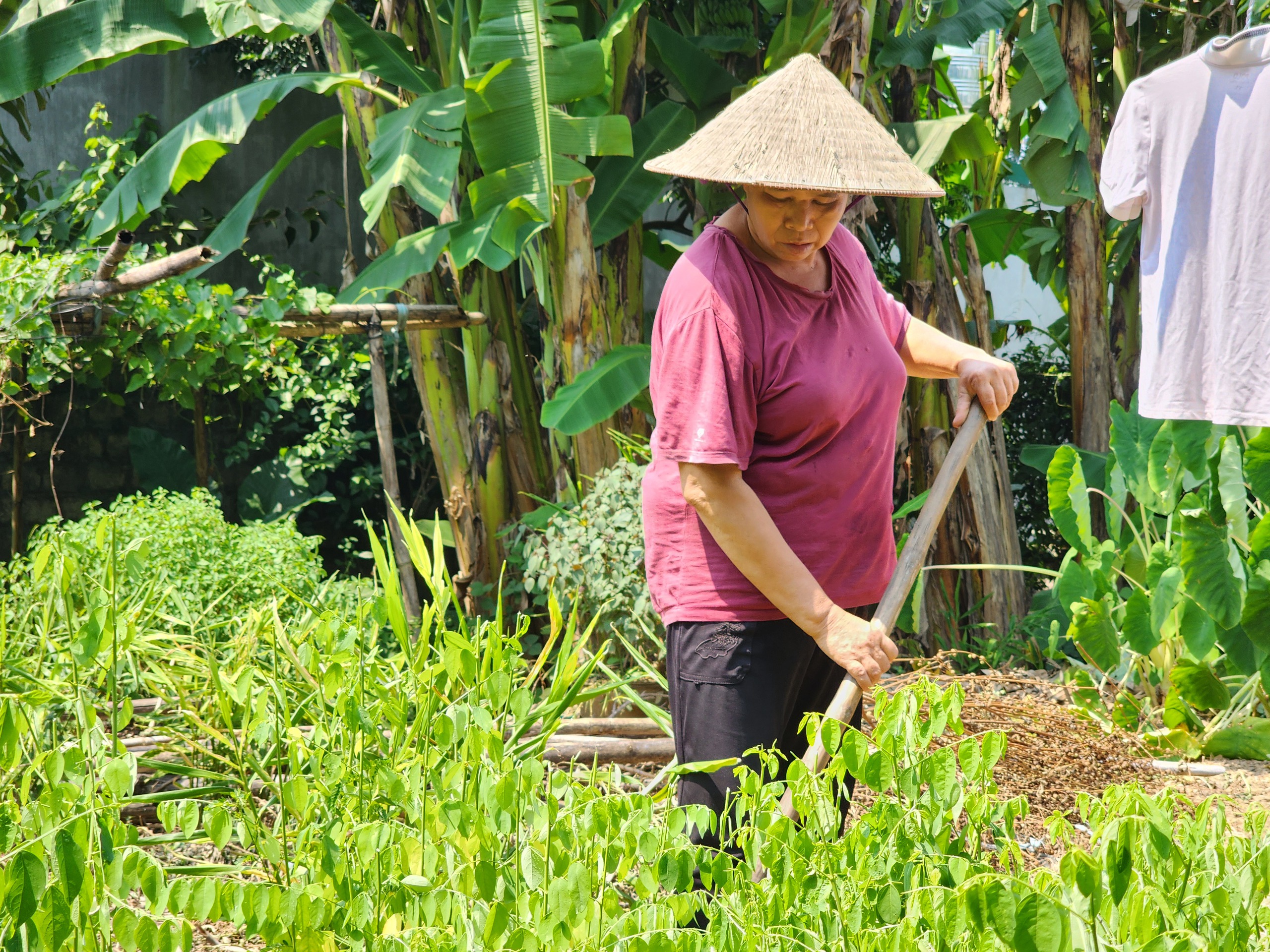 Gia đình vừa đoàn tụ, con trai đột ngột mất vì TNGT để lại cha mẹ già yếu- Ảnh 1.