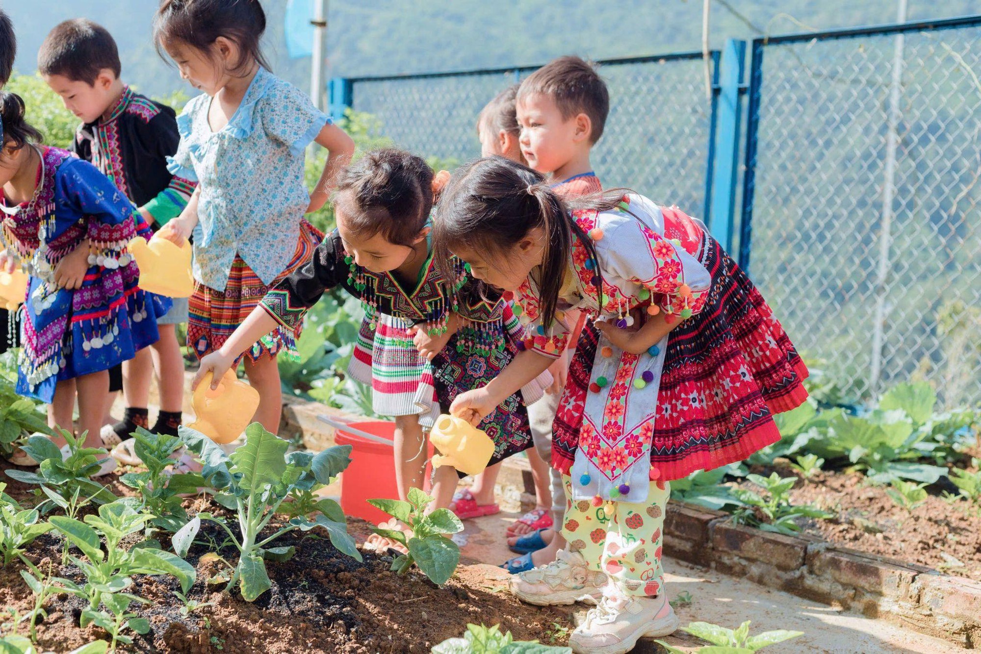 Sa Pa trồng 400 cây hoa trong ngày ra quân vì môi trường- Ảnh 3.