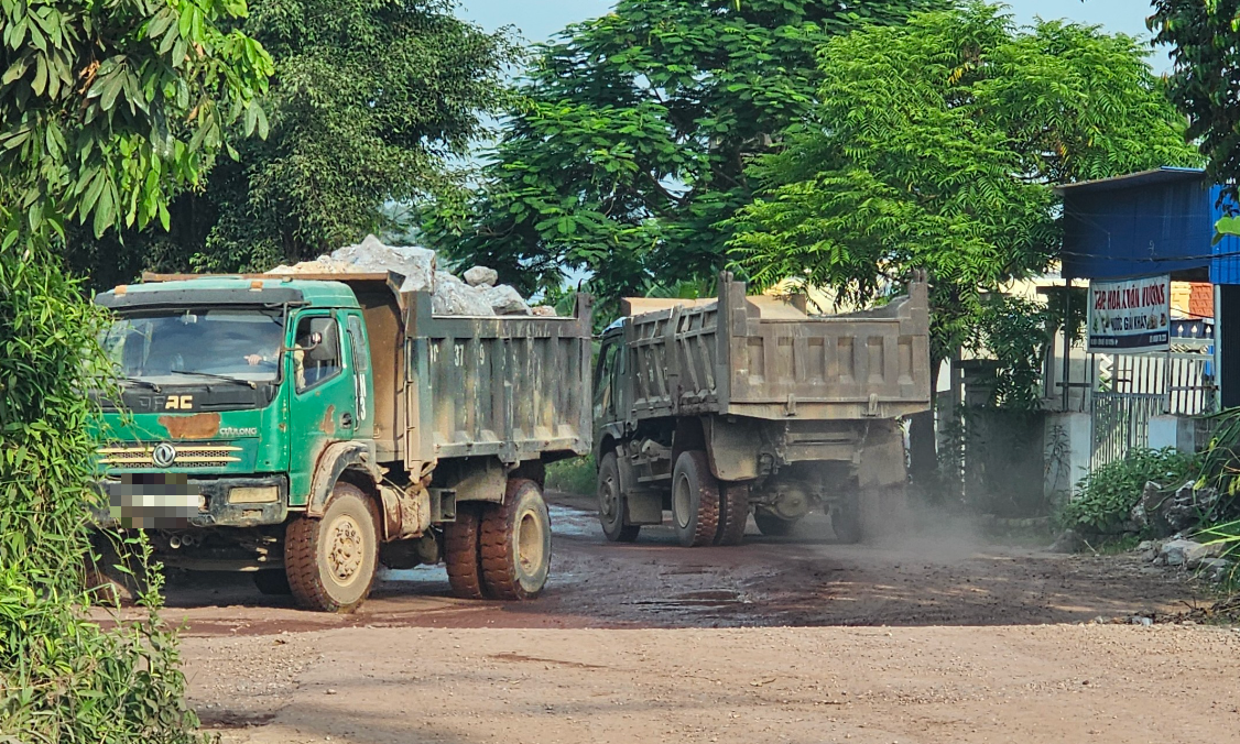 Chia sẻ cơ sở dữ liệu, ngăn xe hết hạn đăng kiểm tham gia giao thông- Ảnh 1.