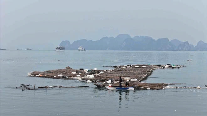 Quảng Ninh ưu tiên khôi phục hạ tầng giao thông bị hư hỏng sau mưa bão- Ảnh 5.