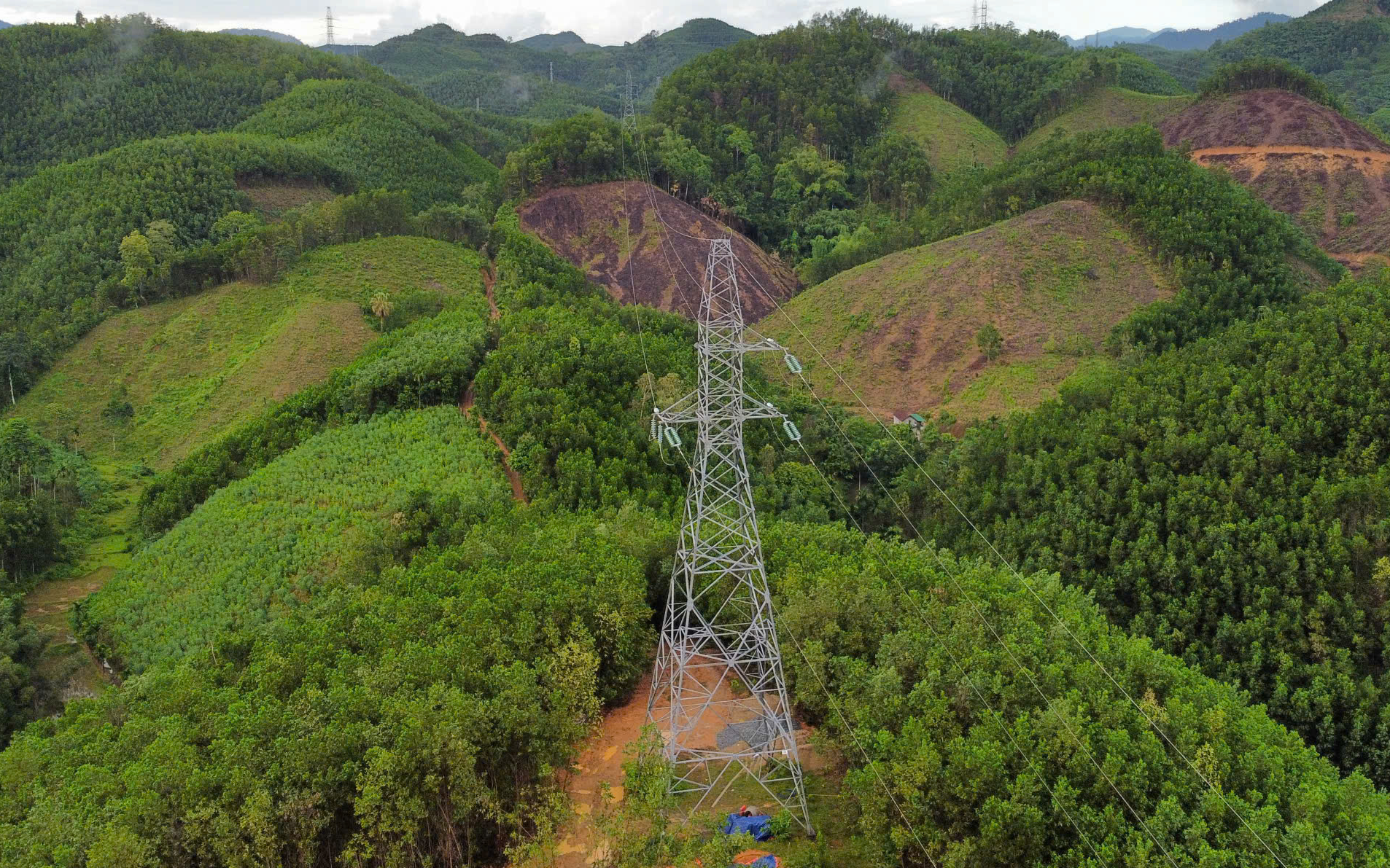 64 trụ điện cao thế mọc trái phép đã 7 năm nhưng địa phương 'chưa nắm rõ'