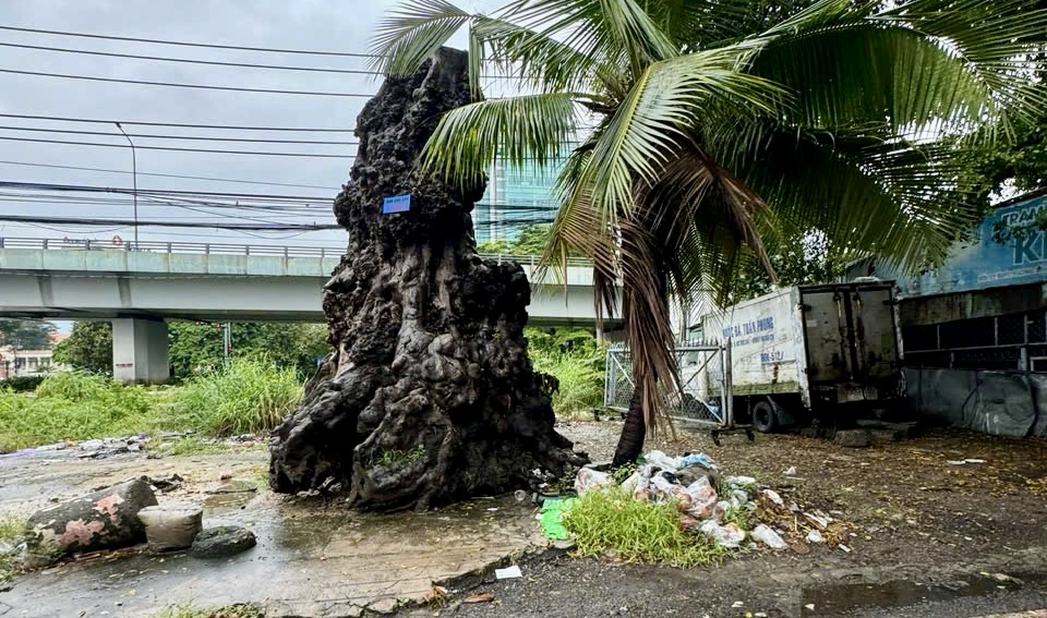 Chỉnh trang hành lang ATGT quốc lộ ở ngã tư Vũng Tàu- Ảnh 10.