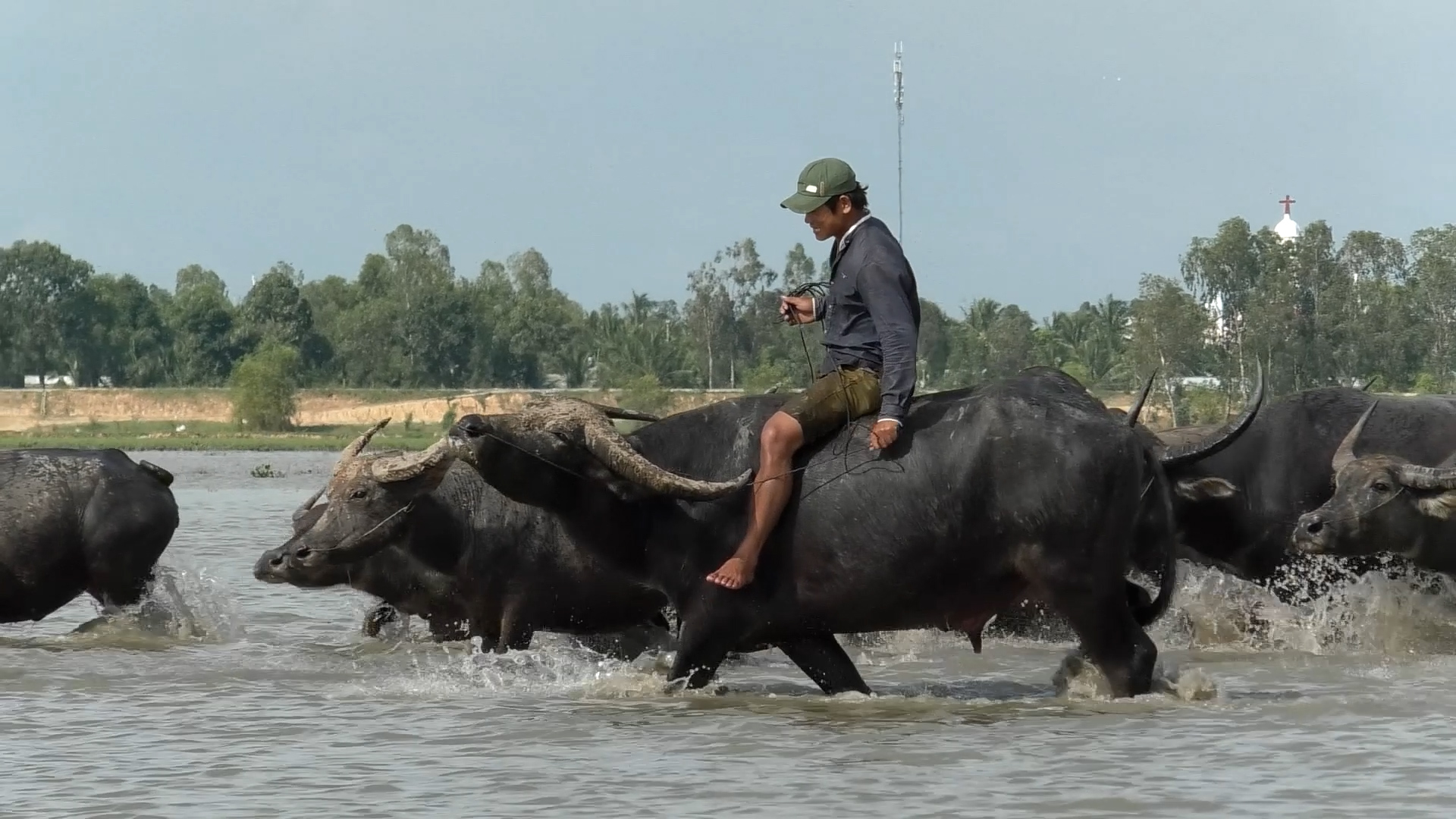 Những mùa len trâu sót lại- Ảnh 2.