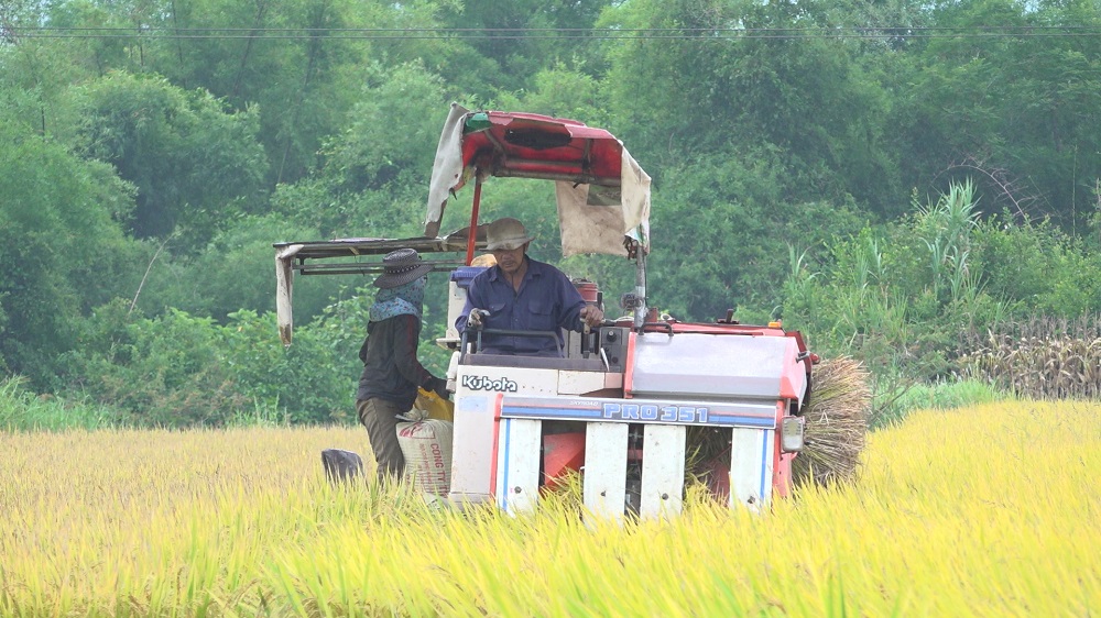 Quảng Ngãi lấy nông dân làm gốc trong chuyển đổi số ngành nông nghiệp- Ảnh 1.