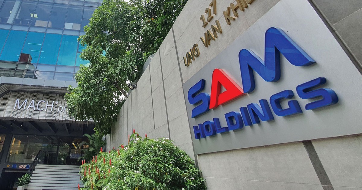 SAM Holdings kinh doanh ra sao trước diễn biến tái khởi động dự án cảng 14.000 tỷ?- Ảnh 2.