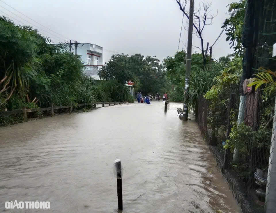 Phú Yên mưa lớn, cây cối ngã đổ, nhiều tuyến đường bị ngập- Ảnh 2.