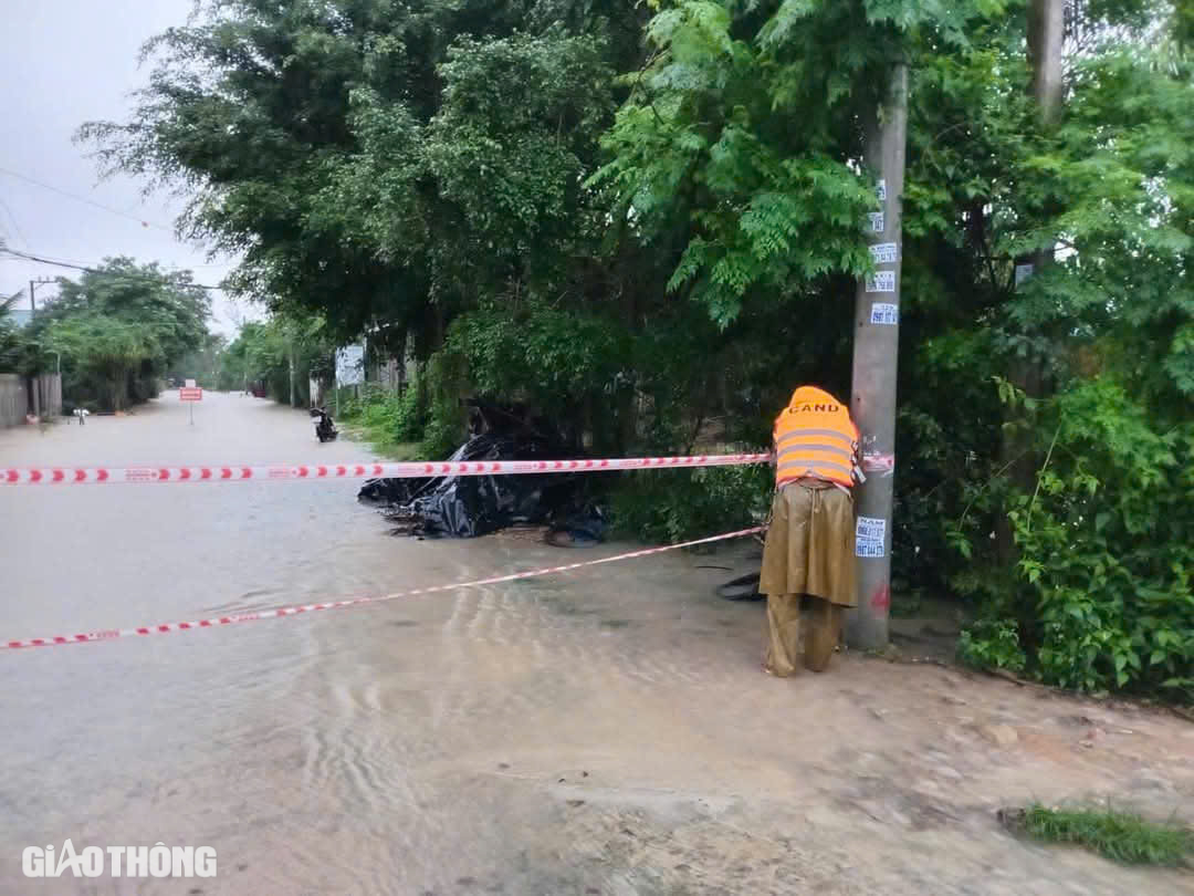 Phú Yên mưa lớn, cây cối ngã đổ, nhiều tuyến đường bị ngập- Ảnh 3.