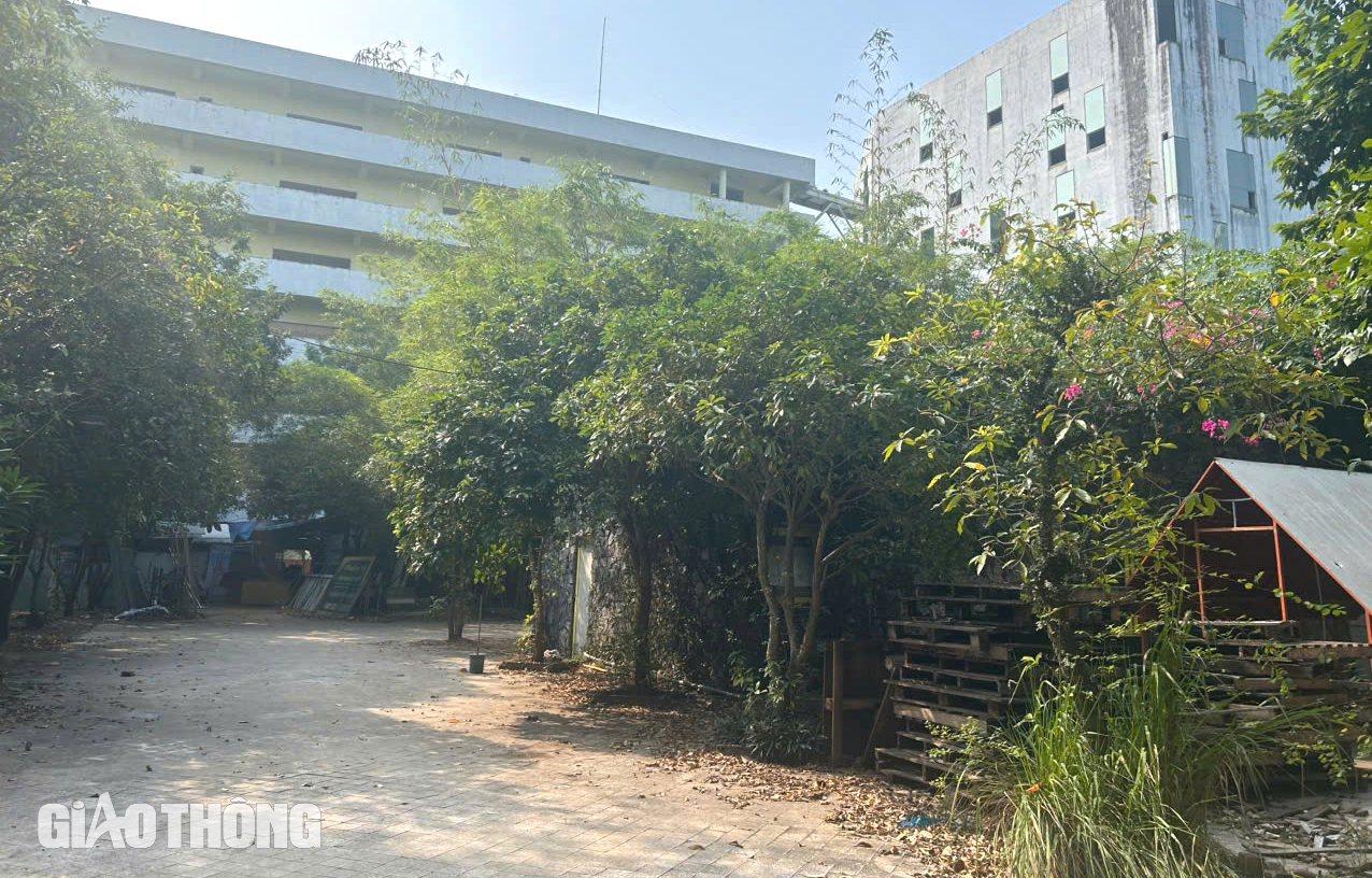 Khi nào dự án trường học hơn 40 nghìn m2 ở Thanh Hóa bị cưỡng chế?- Ảnh 13.