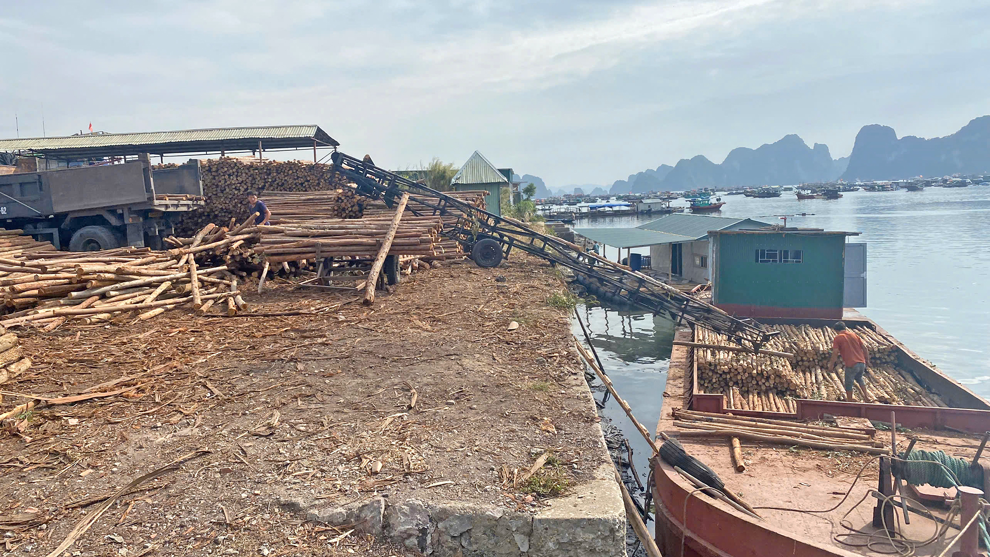 Quảng Ninh: Ô nhiễm trên bờ, dưới biển ở Bến Do- Ảnh 2.