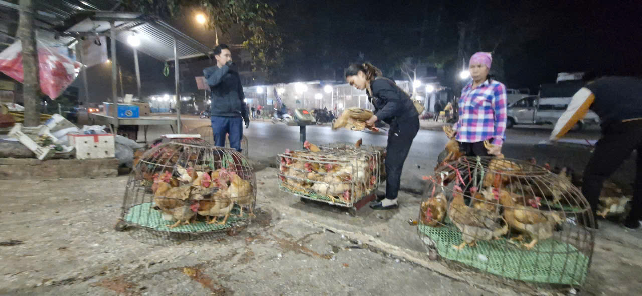 Chưa đến Tết, chợ gà lớn nhất Bắc Giang giao dịch xuyên đêm- Ảnh 4.