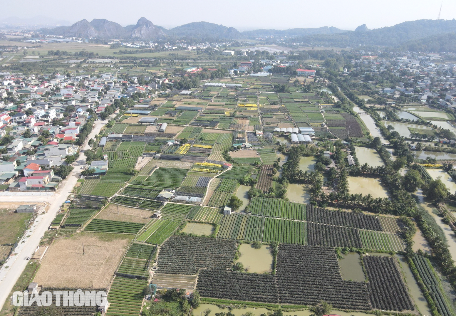 Làng hoa lớn nhất Thanh Hóa tất bật vào vụ Tết- Ảnh 2.