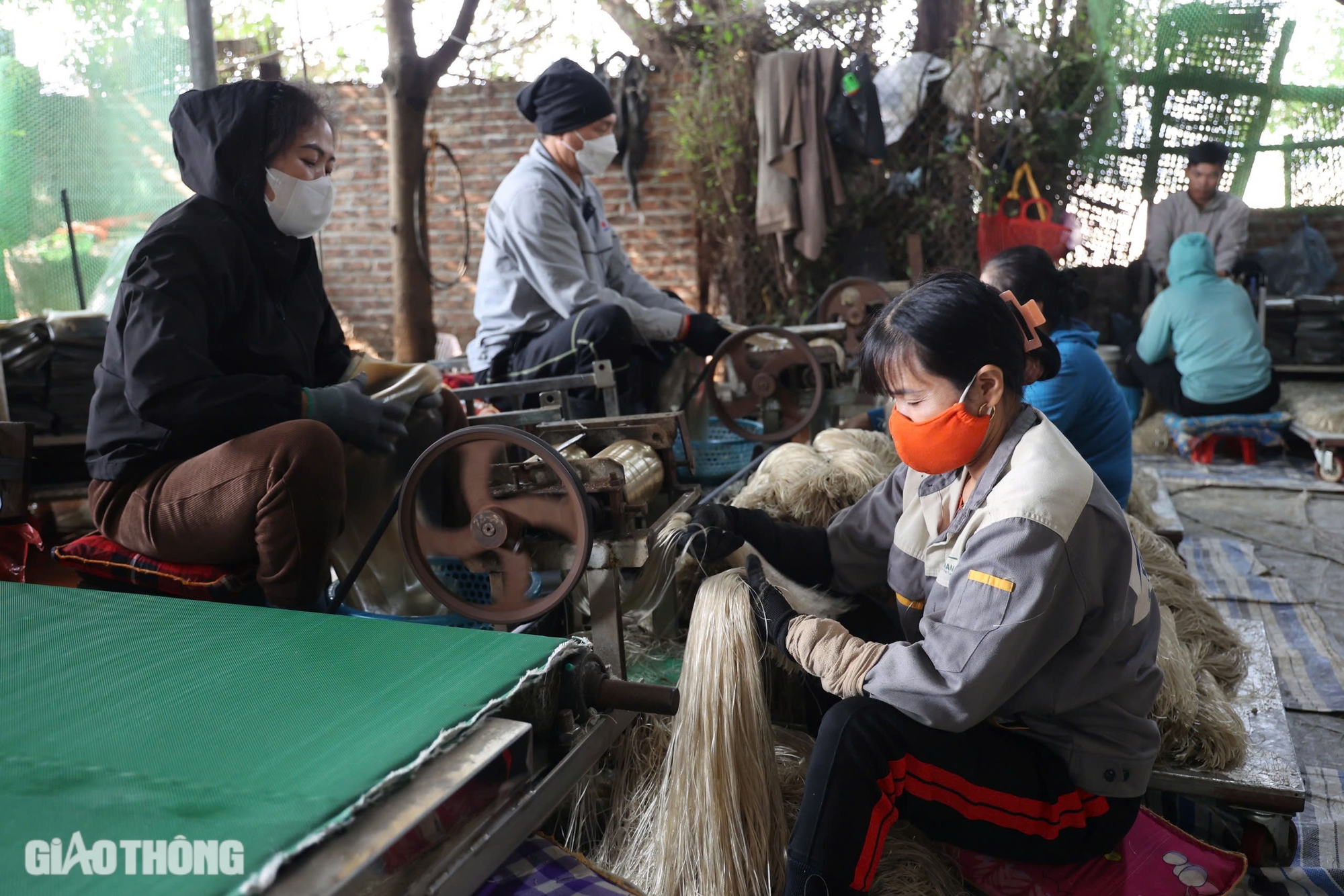 Làng làm miến dong lớn nhất ở Hà Nội tất bật vào vụ Tết- Ảnh 6.