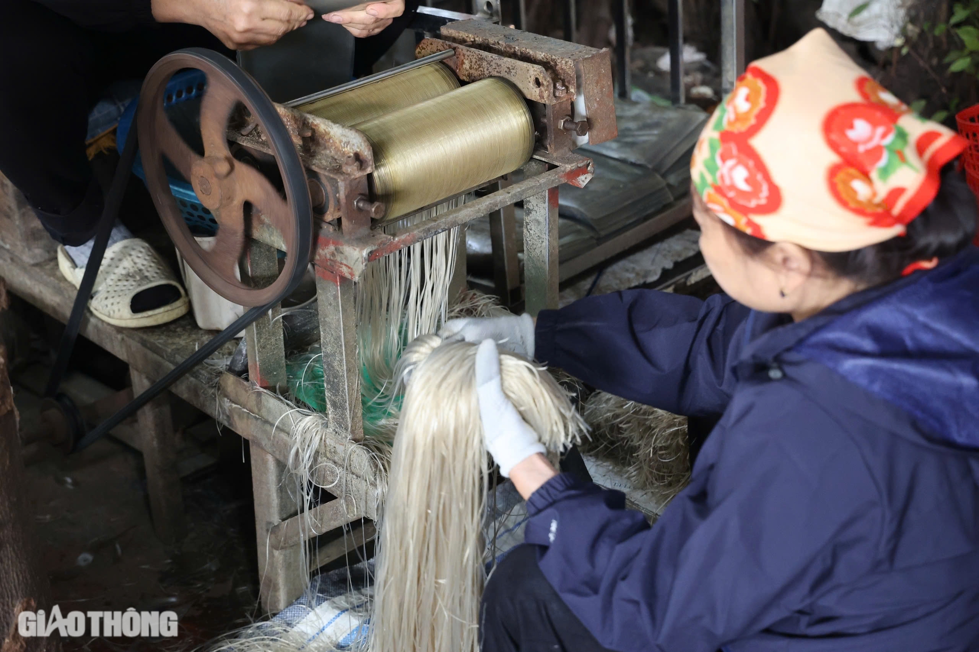 Làng làm miến dong lớn nhất ở Hà Nội tất bật vào vụ Tết- Ảnh 8.