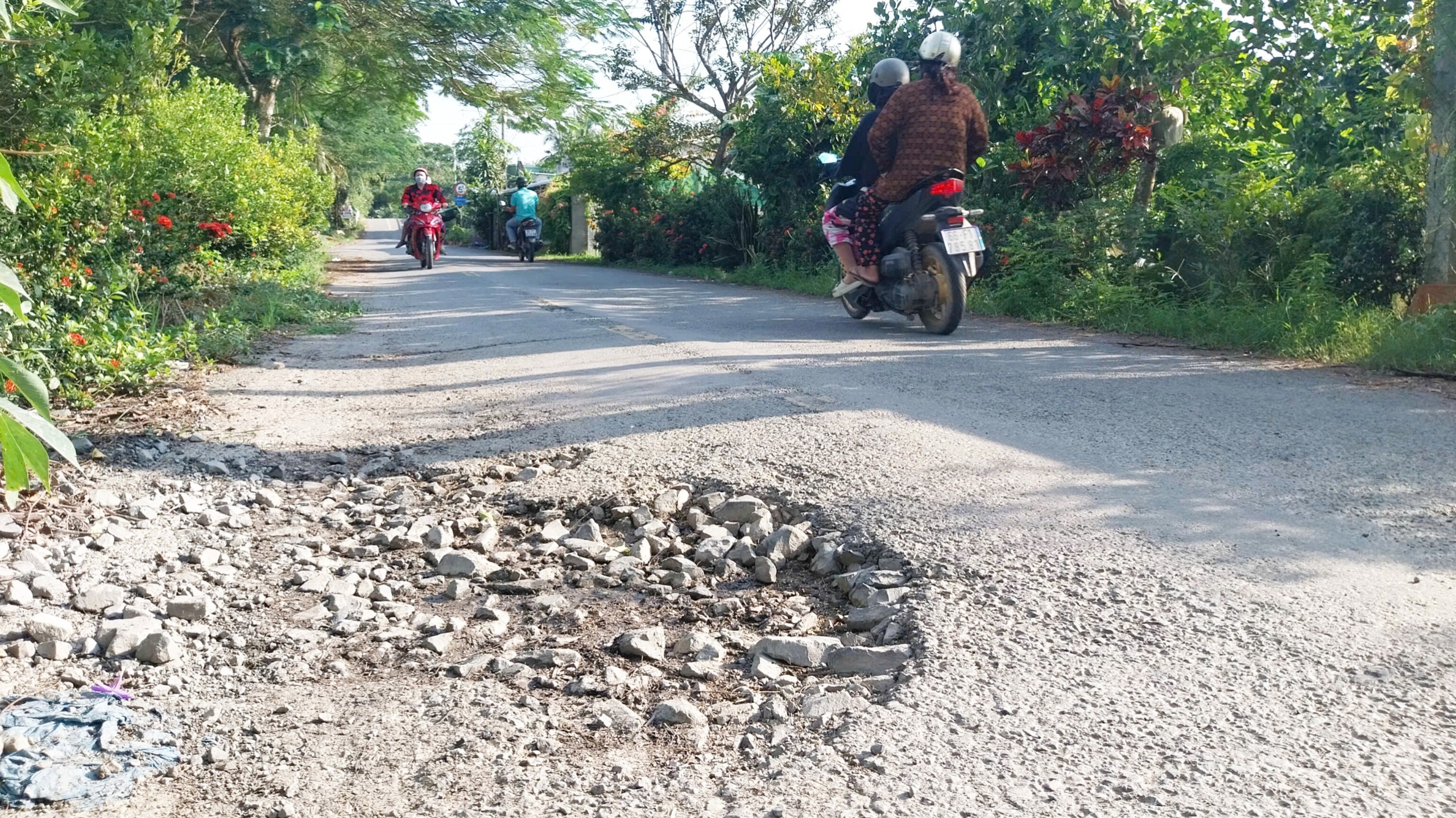 Sớm sửa chữa tuyến đường chi chít ổ gà ở Đồng Tháp
- Ảnh 1.