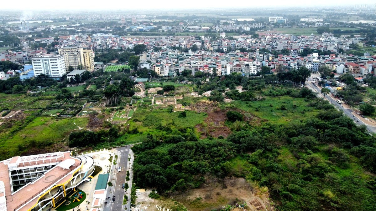 Hà Nội: Quận Hoàng Mai đấu giá 44.000m2 đất tại Linh Đàm- Ảnh 1.