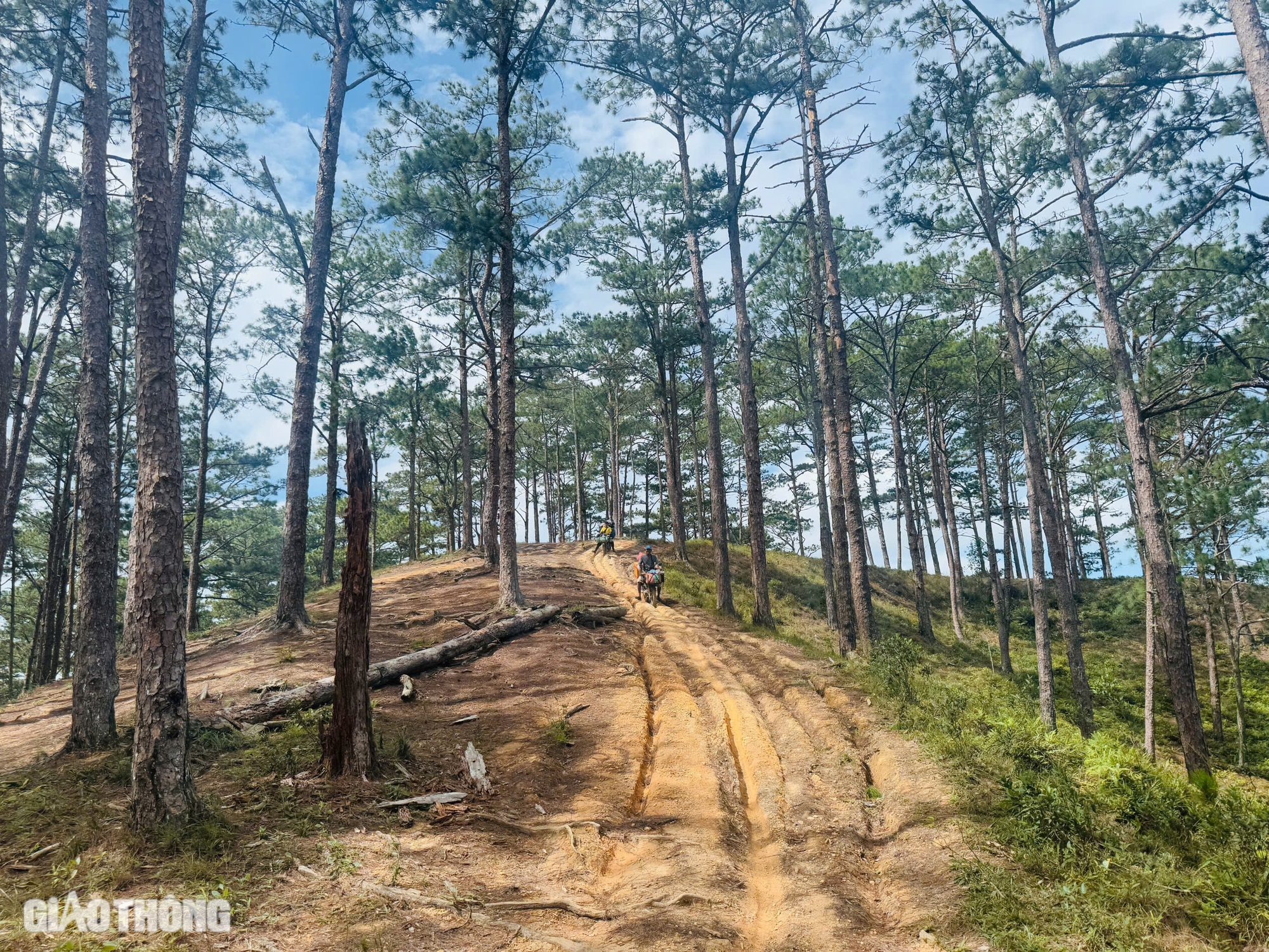 Trải nghiệm hai ngày không điện thoại, chinh phục cung đường trekking đẹp nhất Việt Nam- Ảnh 8.