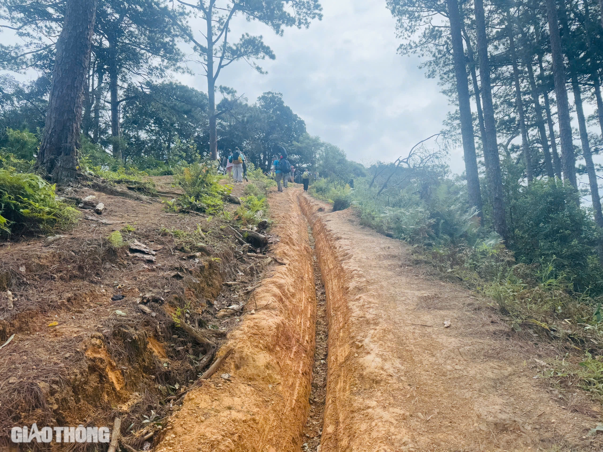 Trải nghiệm hai ngày không điện thoại, chinh phục cung đường trekking đẹp nhất Việt Nam- Ảnh 9.