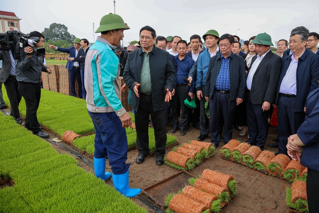 Đầu năm mới, Thủ tướng cùng nông dân cấy lúa, thu hoạch cà rốt- Ảnh 2.