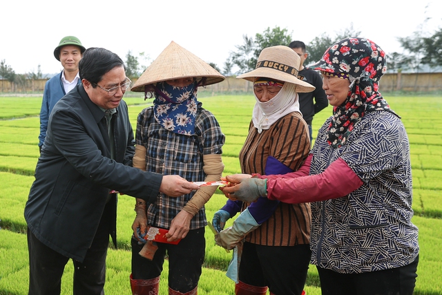 Đầu năm mới, Thủ tướng cùng nông dân cấy lúa, thu hoạch cà rốt- Ảnh 3.