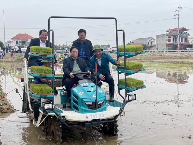 Đầu năm mới, Thủ tướng cùng nông dân cấy lúa, thu hoạch cà rốt- Ảnh 4.