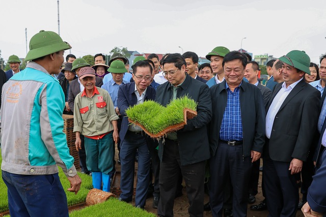 Đầu năm mới, Thủ tướng cùng nông dân cấy lúa, thu hoạch cà rốt- Ảnh 1.