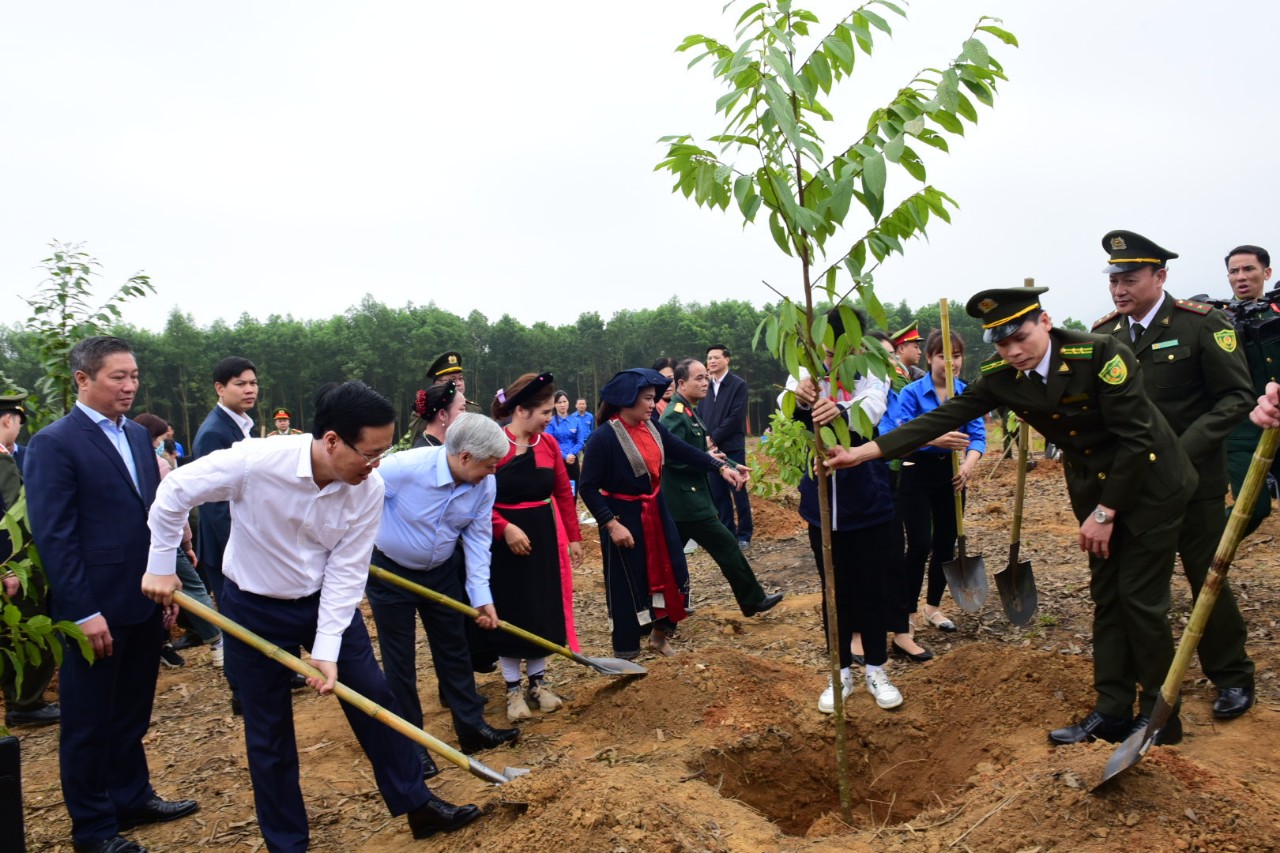 Chủ tịch nước dự Lễ phát động Tết trồng cây Xuân Giáp Thìn 2024 tại Tuyên Quang- Ảnh 6.