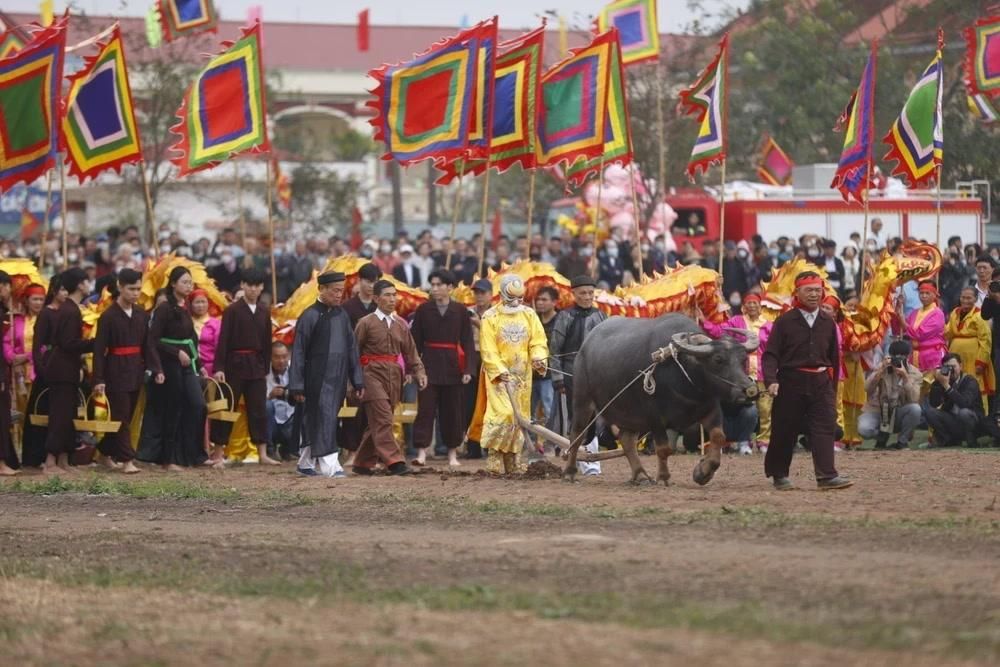 Hàng ngàn người xem vua cày ruộng tại Lễ hội Tịch điền Đọi Sơn- Ảnh 1.