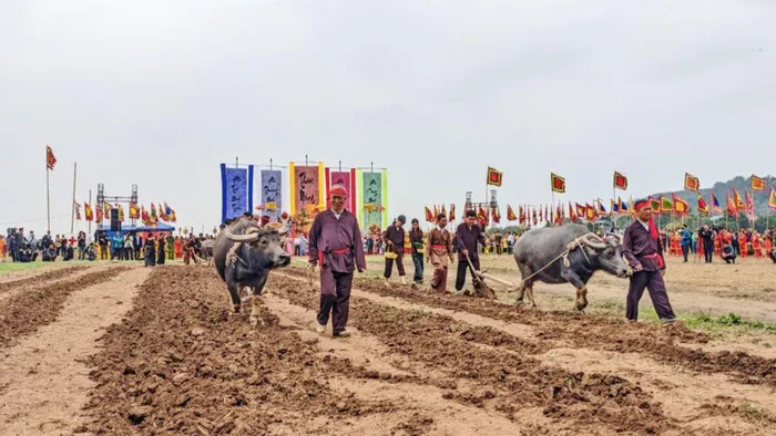 Hàng ngàn người xem vua cày ruộng tại Lễ hội Tịch điền Đọi Sơn- Ảnh 23.