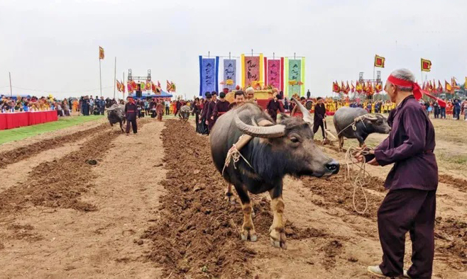Hàng ngàn người xem vua cày ruộng tại Lễ hội Tịch điền Đọi Sơn- Ảnh 21.