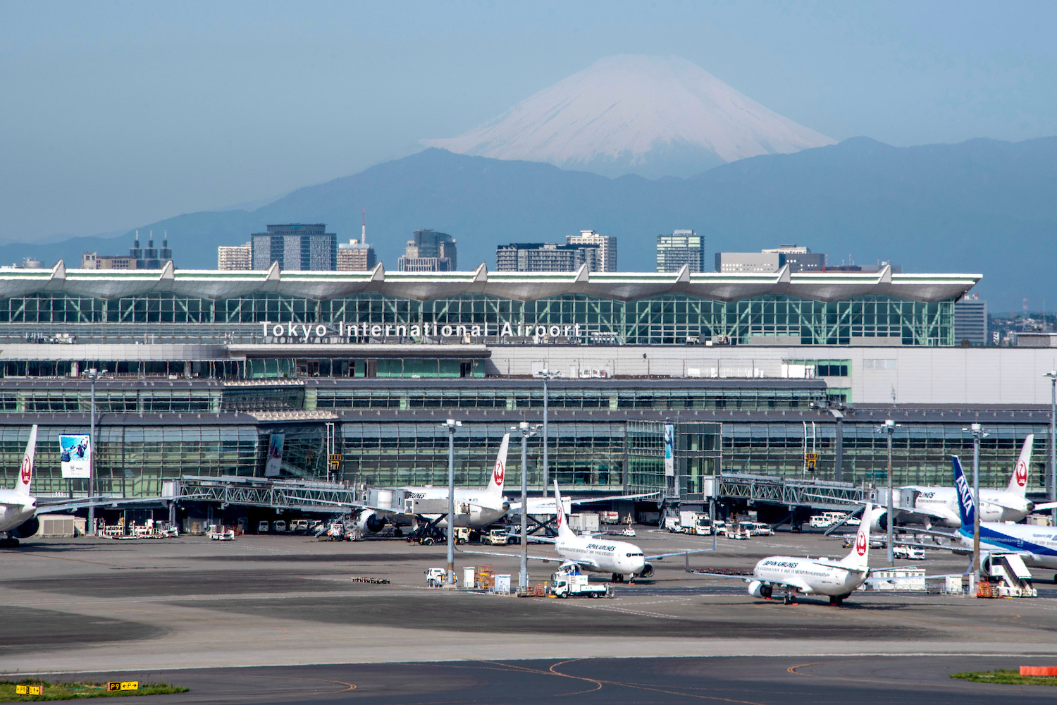 Japan Airlines thừa nhận nhân viên công ty con gian dối khi thi bằng lái- Ảnh 1.