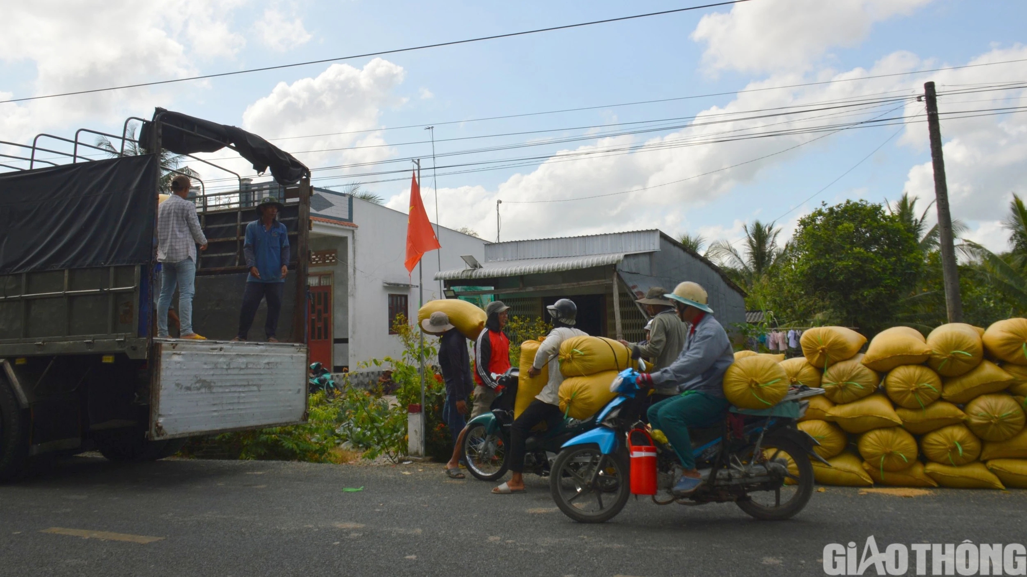 Đường sụt lún ô tô không thể qua, nông dân Cà Mau thuê xe máy chở lúa ra điểm tập kết- Ảnh 9.