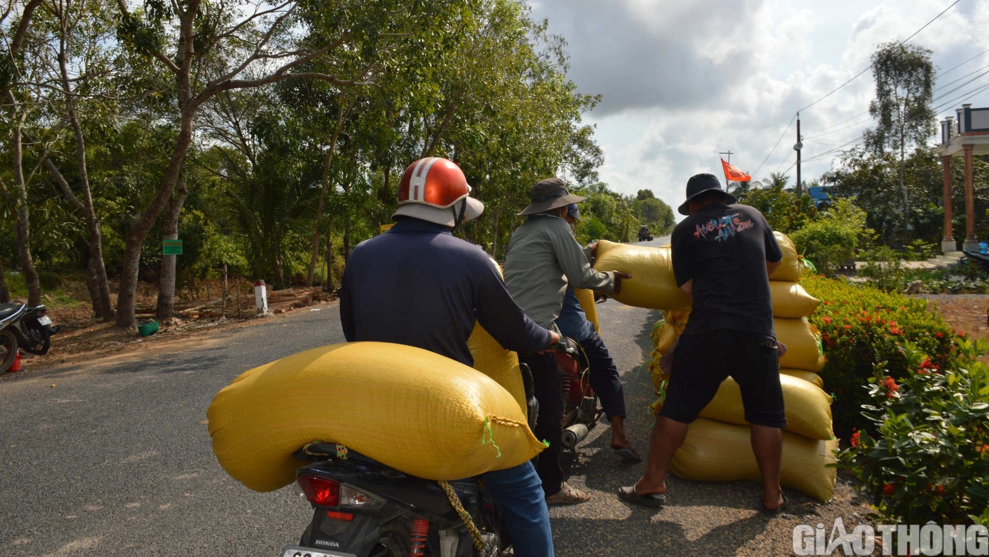 Đường sụt lún ô tô không thể qua, nông dân Cà Mau thuê xe máy chở lúa ra điểm tập kết- Ảnh 12.