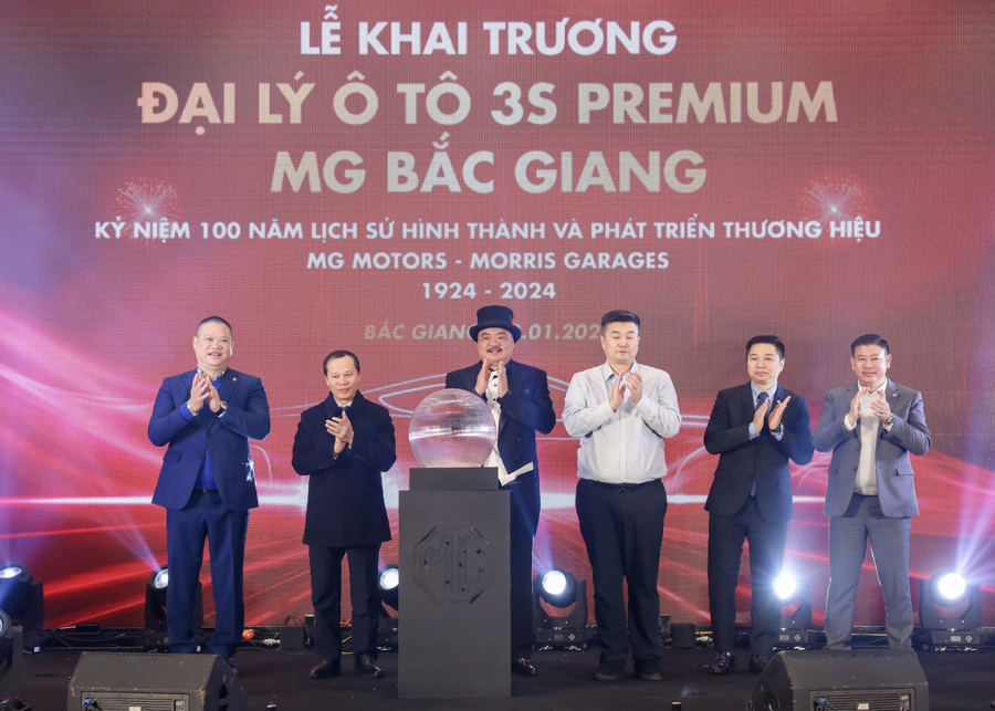 Doanh thu bán ô tô giảm một nửa, lãnh đạo Haxaco nhận lương bao nhiêu?- Ảnh 2.