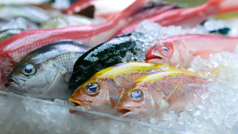 Cá rất tốt cho sức khỏe nhưng loại cá này không nên ăn thường xuyên- Ảnh 7.