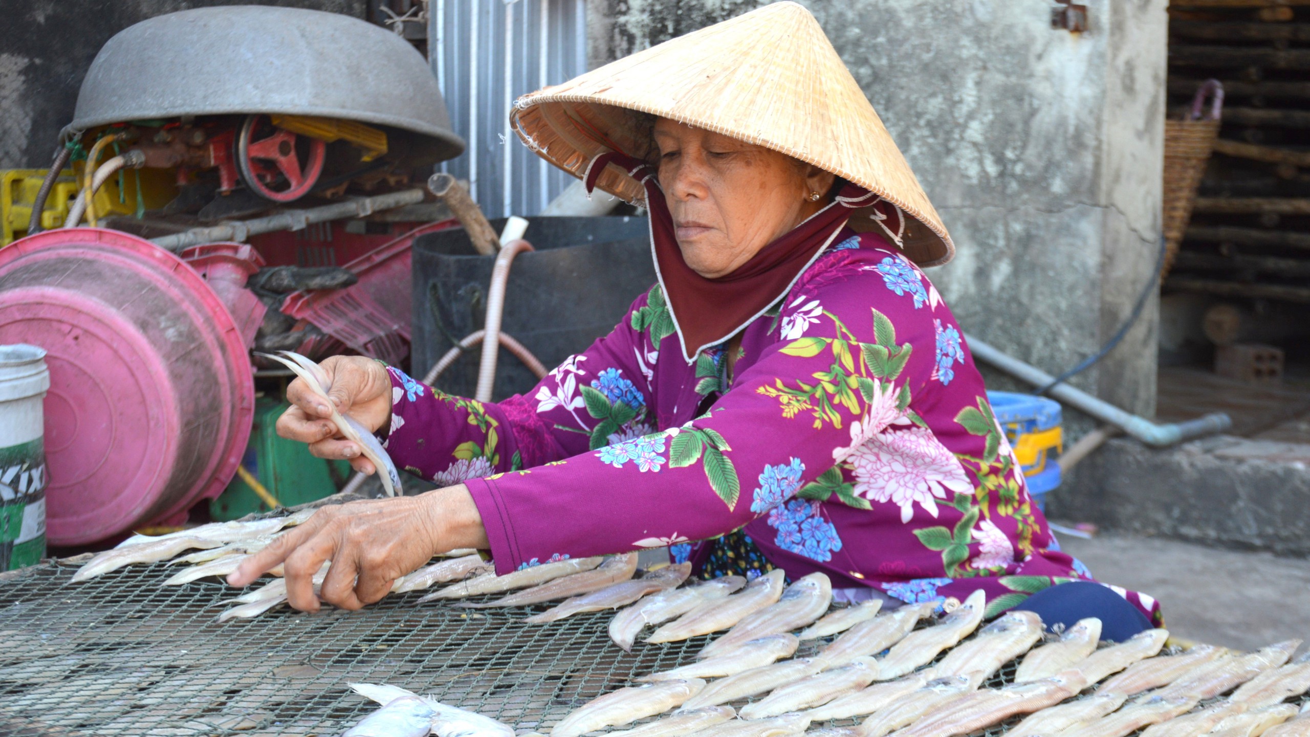 Làng cá khô lớn nhất Cà Mau tất bật chuẩn bị cho vụ Tết- Ảnh 4.