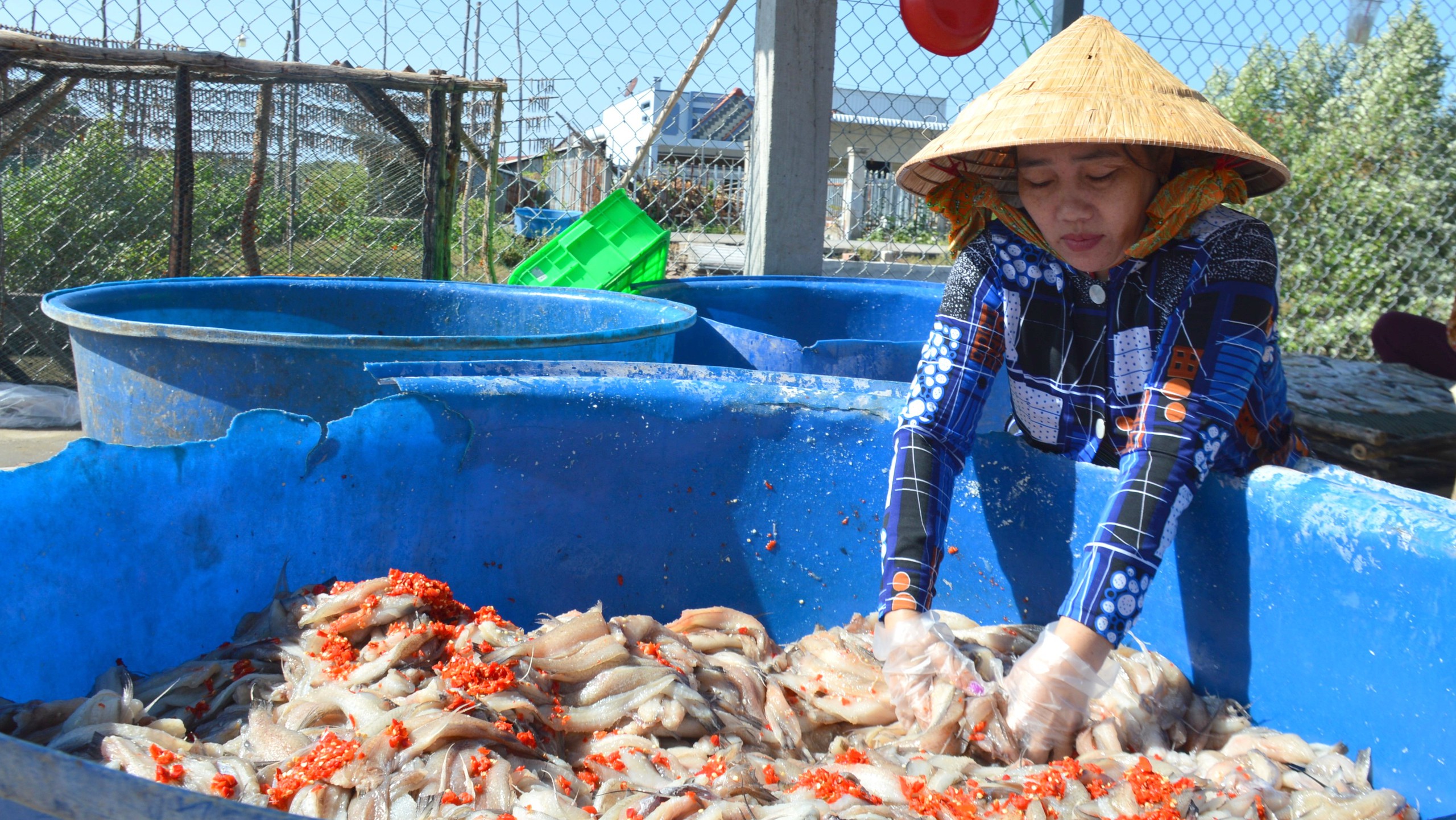 Làng cá khô lớn nhất Cà Mau tất bật chuẩn bị cho vụ Tết- Ảnh 5.