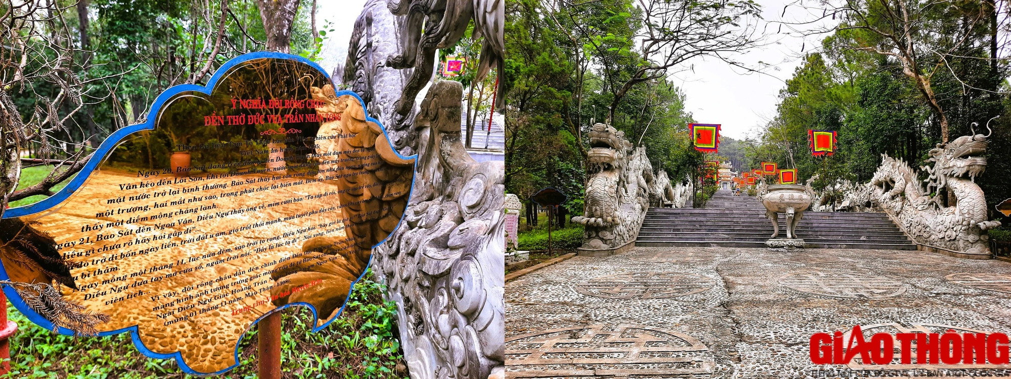 Tận thấy đôi rồng xác lập kỷ lục dài nhất Việt Nam trên núi Ngũ Phong 15 năm trước- Ảnh 6.