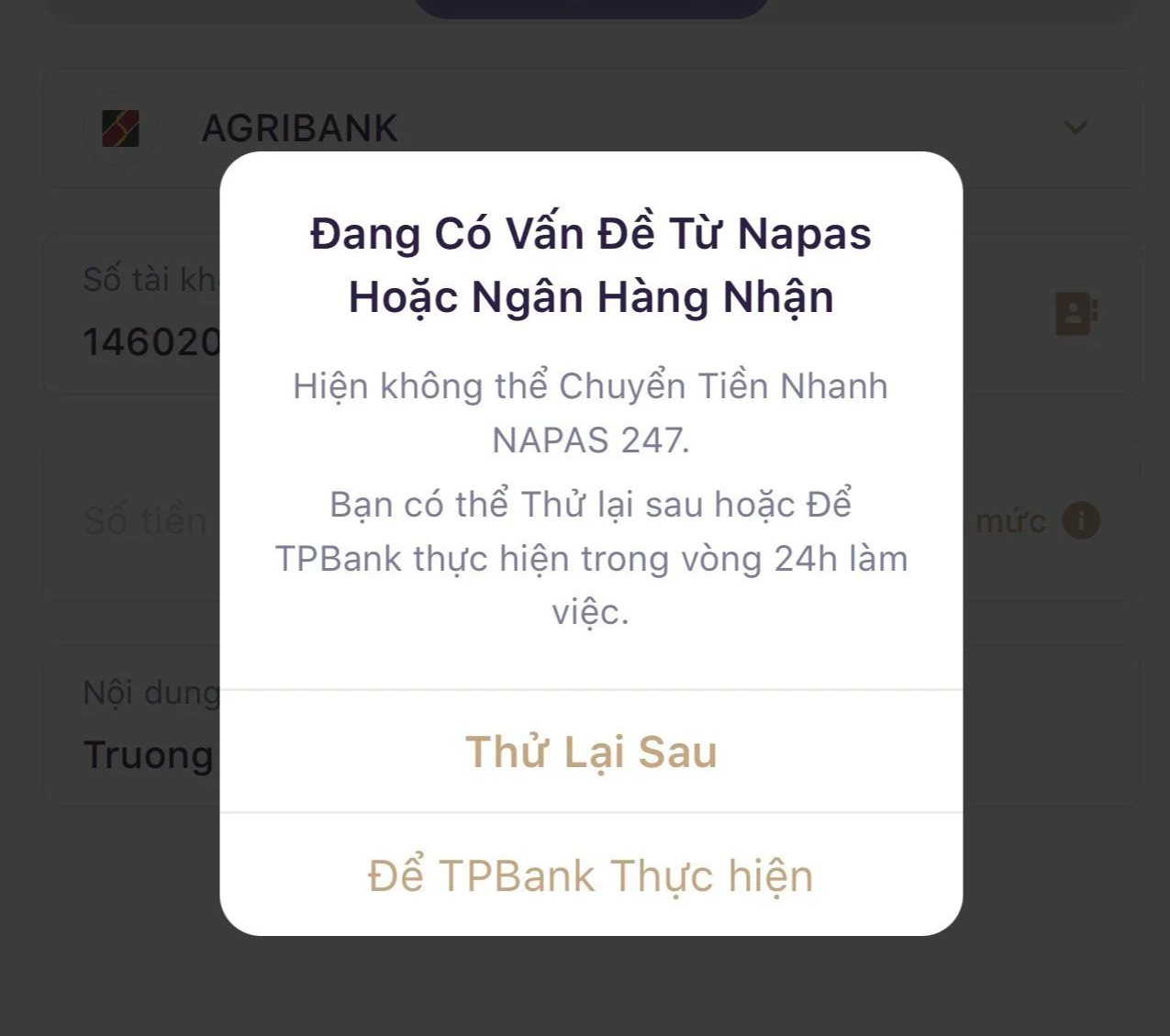 Nhiều người không thể chuyển khoản qua mobile banking dịp cận Tết- Ảnh 1.