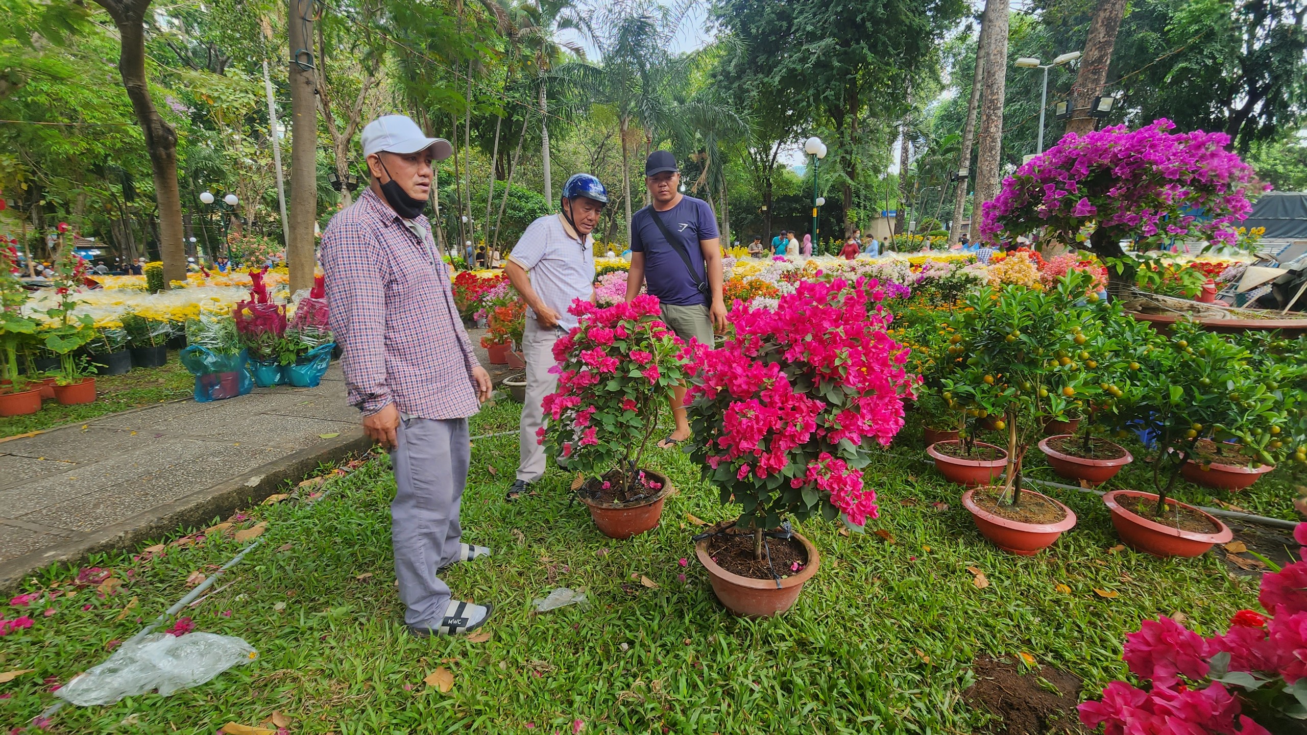 Người dân TP.HCM tranh thủ mua hoa giảm giá chiều 29 Tết- Ảnh 9.