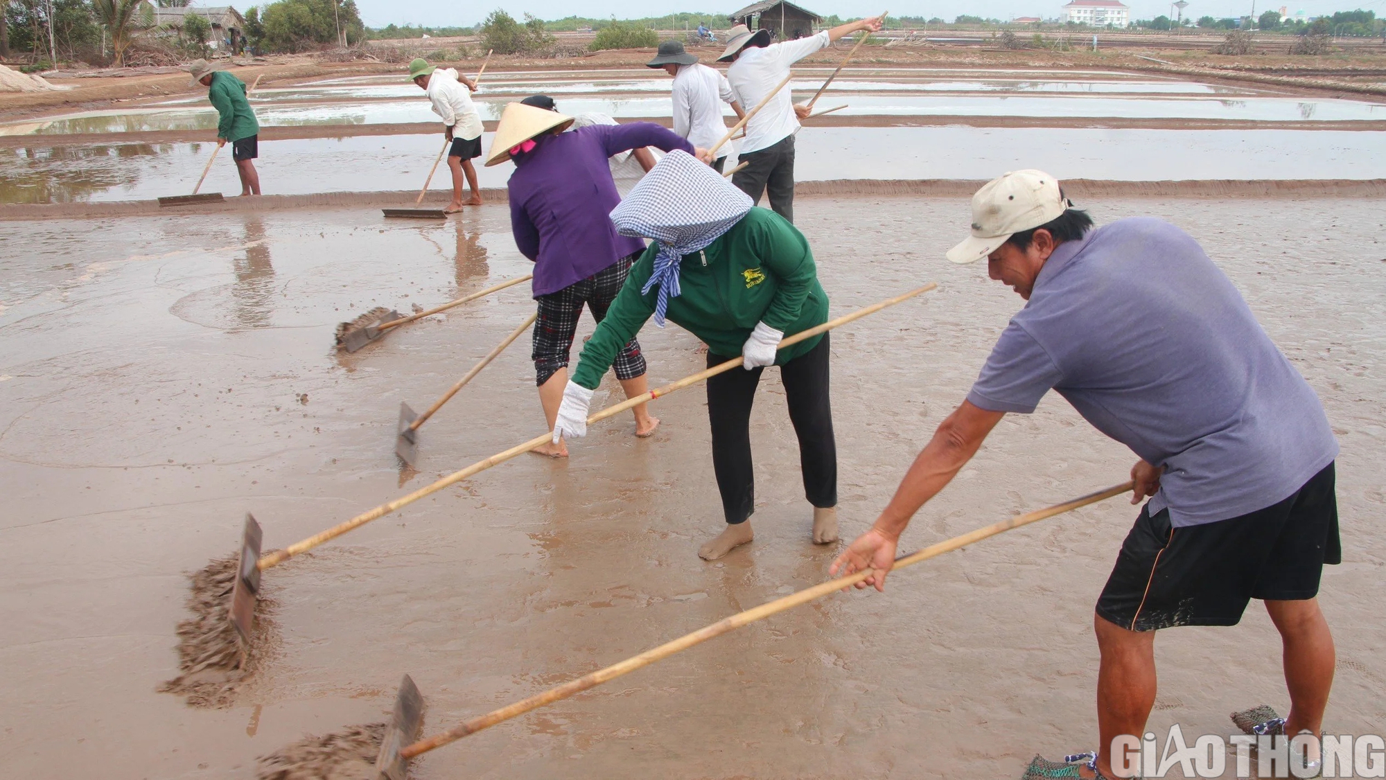 Diêm dân Bạc Liêu khấp khởi hy vọng nghề làm muối phát triển từ 100 tỷ đồng hỗ trợ- Ảnh 3.
