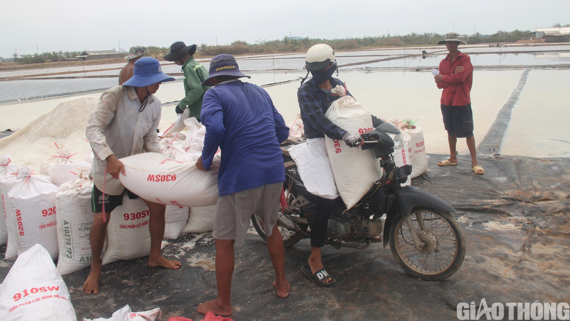 Diêm dân Bạc Liêu khấp khởi hy vọng nghề làm muối phát triển từ 100 tỷ đồng hỗ trợ- Ảnh 6.
