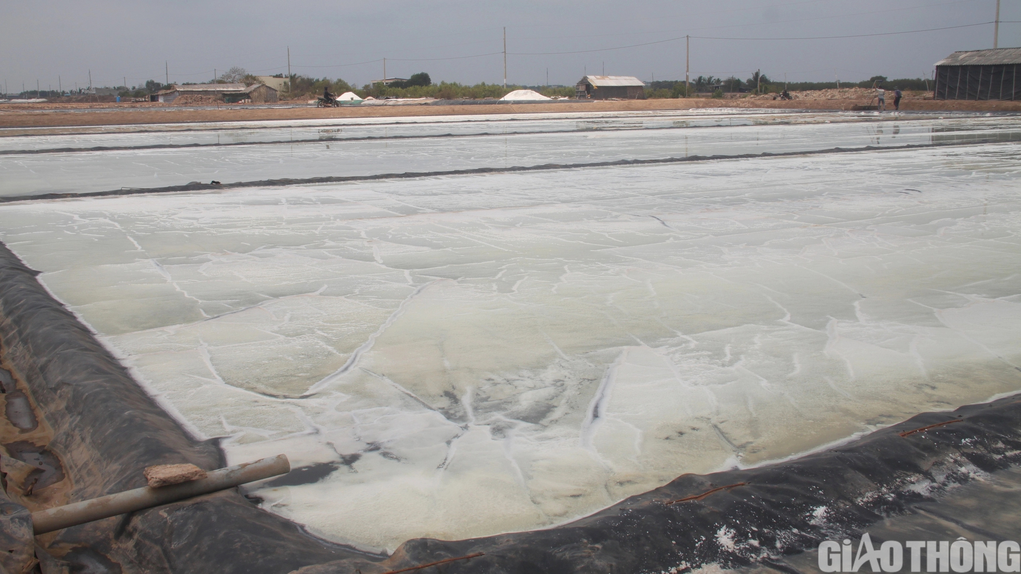Diêm dân Bạc Liêu khấp khởi hy vọng nghề làm muối phát triển từ 100 tỷ đồng hỗ trợ- Ảnh 7.