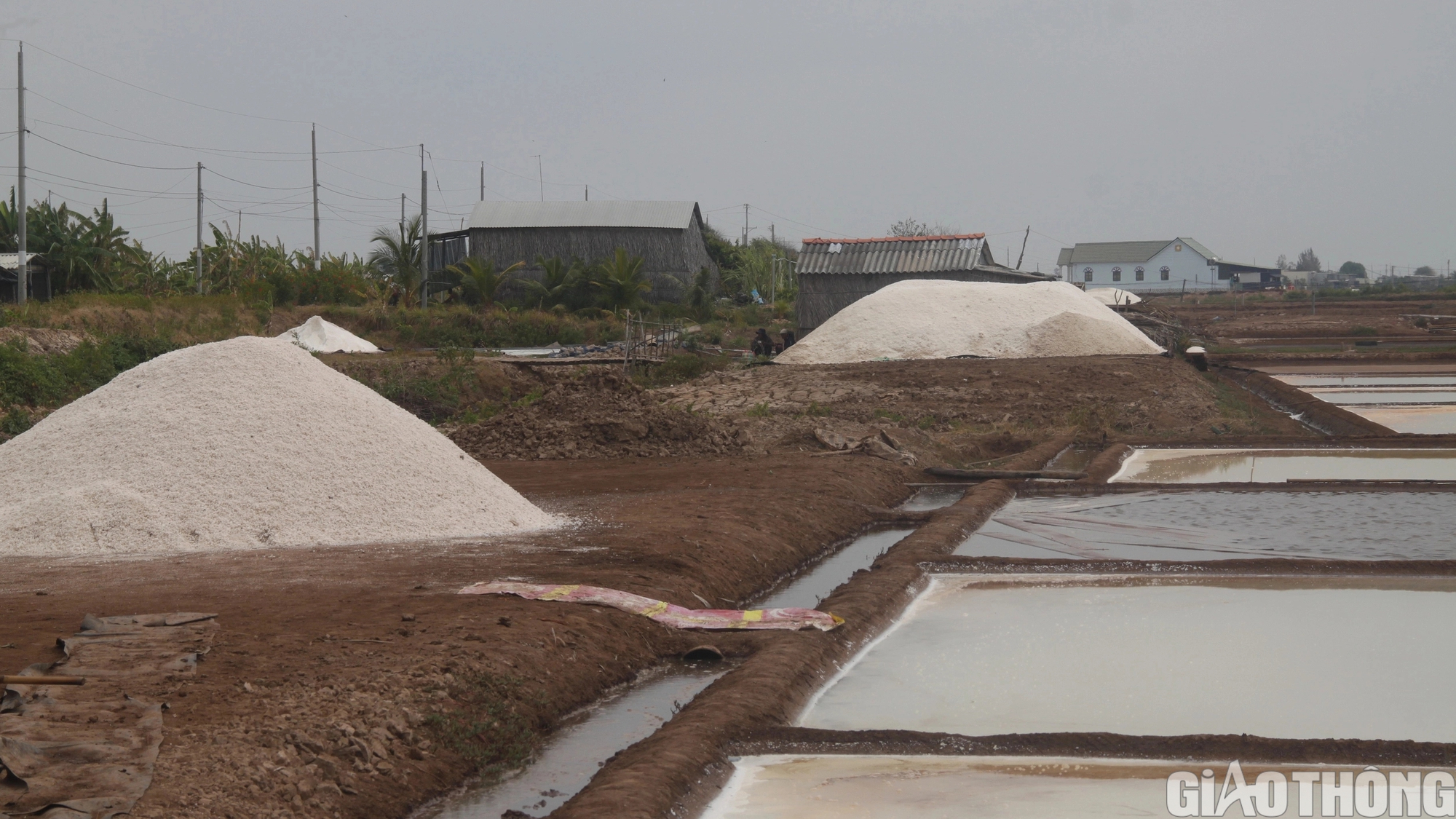 Diêm dân Bạc Liêu khấp khởi hy vọng nghề làm muối phát triển từ 100 tỷ đồng hỗ trợ- Ảnh 8.