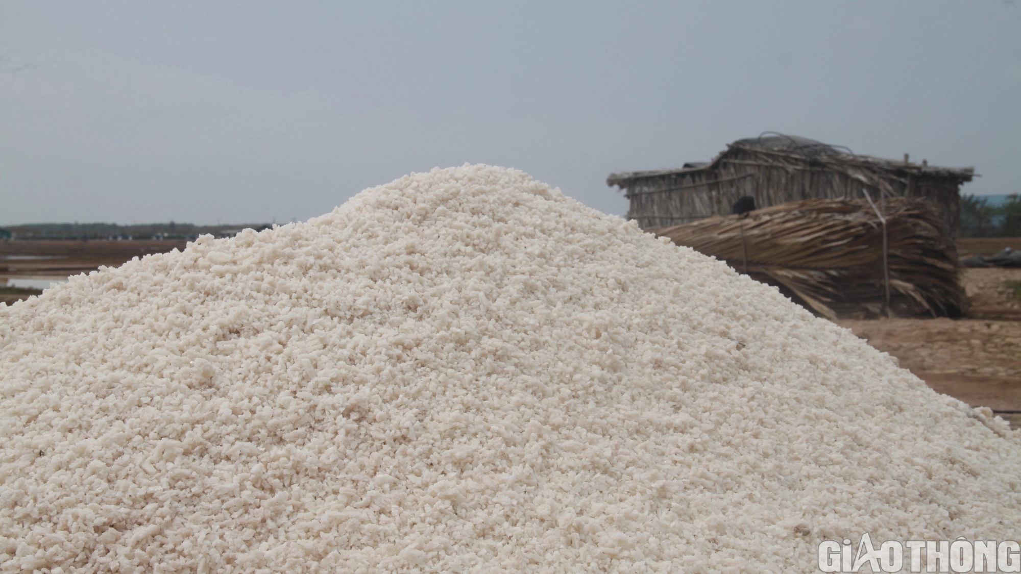 Diêm dân Bạc Liêu khấp khởi hy vọng nghề làm muối phát triển từ 100 tỷ đồng hỗ trợ- Ảnh 9.