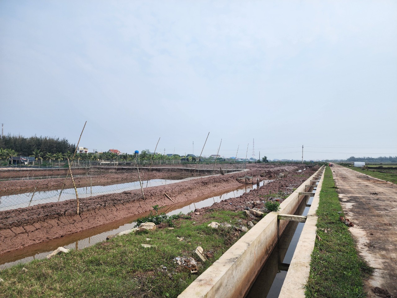 Vì sao hơn 200 hộ dân ở Thái Bình phải bỏ ruộng hoang?- Ảnh 2.