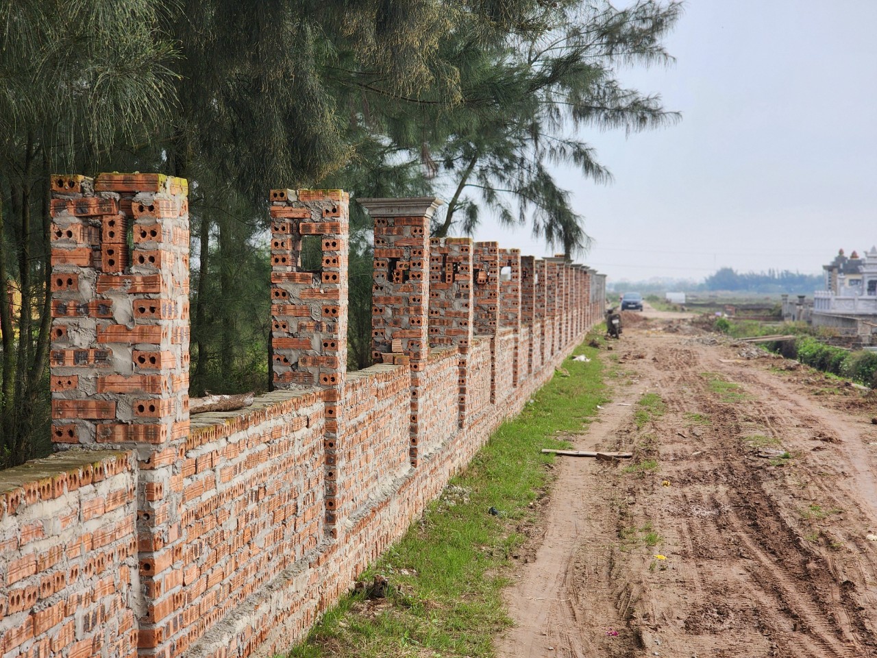 Vì sao hơn 200 hộ dân ở Thái Bình phải bỏ ruộng hoang?- Ảnh 5.