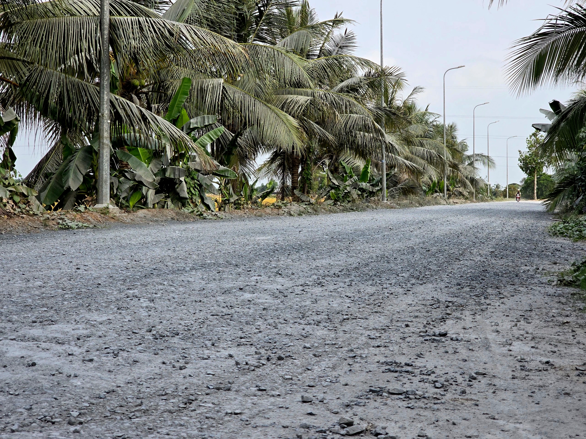 Hết tháng 6, hoàn thành nâng cấp đường tỉnh gần trăm tỷ ở Cần Thơ- Ảnh 3.