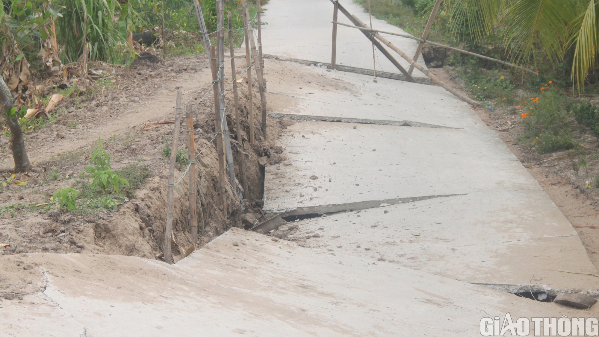Nhiều tuyến đường giao thông ở Cà Mau bị sụt lún, cuộc sống người dân đảo lộn- Ảnh 2.