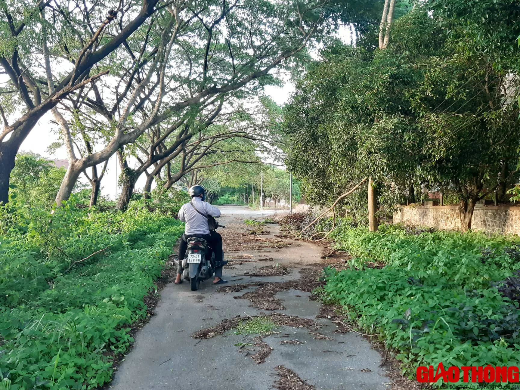 Nhơn Trạch, 